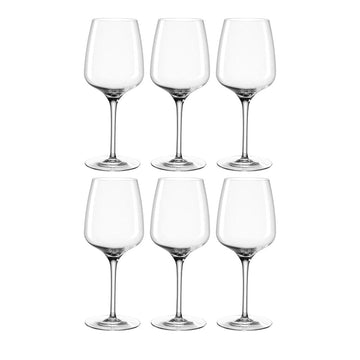 Leonardo - CESTI Witte Wijnglazen 280ml - 6 stuks Witte wijnglazen Leonardo 