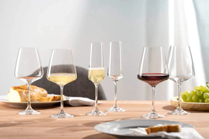 Leonardo - Paladino 12-delige Wijnglazen Set Wijnglazen set Leonardo 